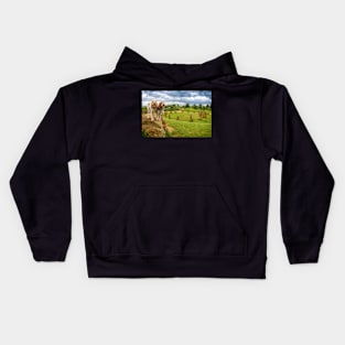 Dogs on a Rock Spinoni Kids Hoodie